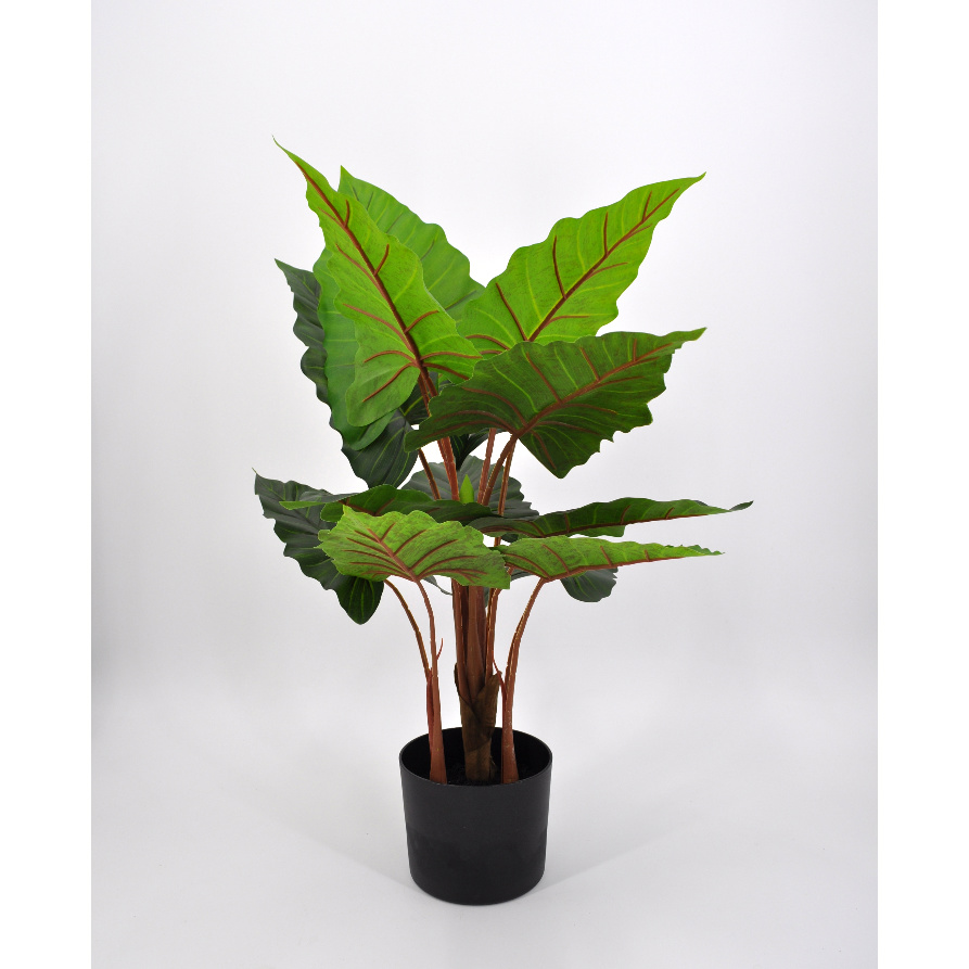 Pianta artificiale Alocasia Odora con vaso nero 57 cm